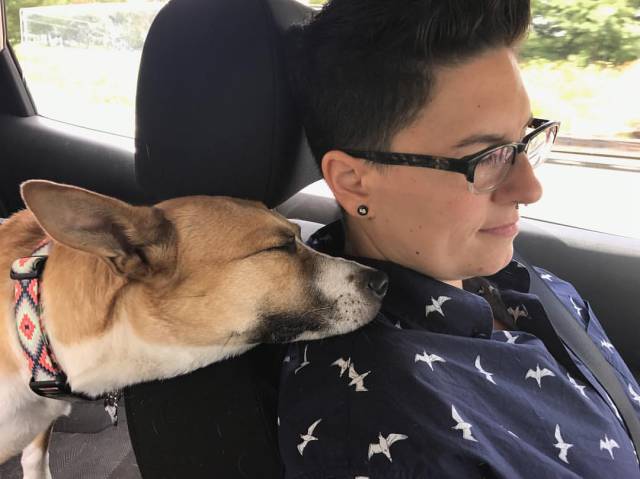 daily picdump 83 pics 30.html - 83 HD Photos | Premium Gallery 2017