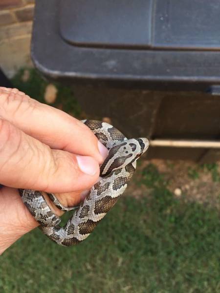 morning picdump 52 pics 24.html - 52 HD Photos | Premium Gallery 2017