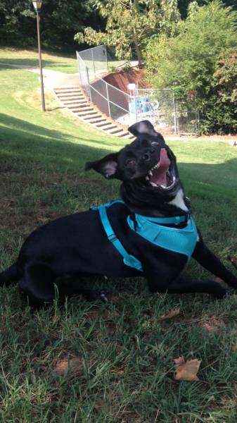 morning picdump 52 pics 24.html - 52 HD Photos | Premium Gallery 2017