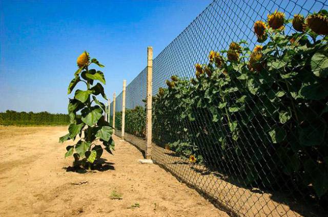 morning picdump 52 pics 24.html - 52 HD Photos | Premium Gallery 2017