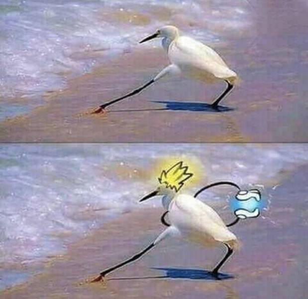 morning picdump 52 pics 24.html - 52 HD Photos | Premium Gallery 2017