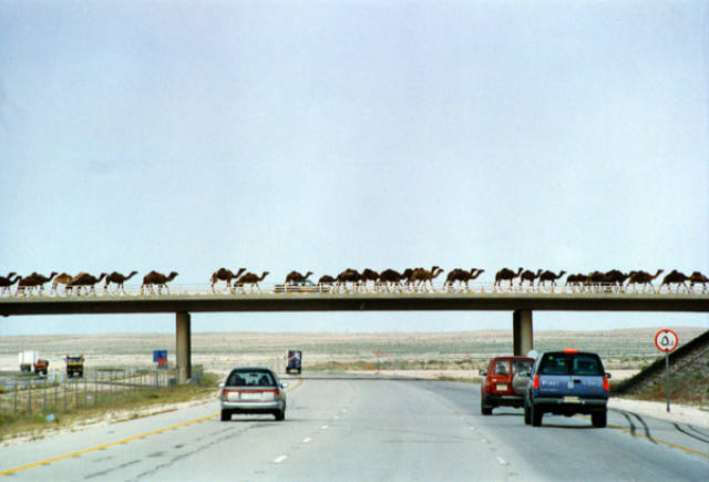 morning picdump 52 pics 24.html - 52 HD Photos | Premium Gallery 2017