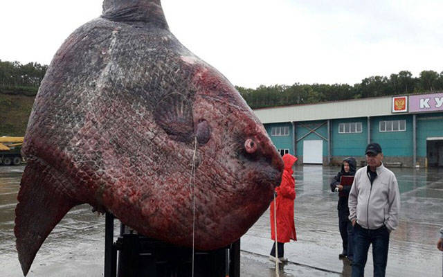 daily picdump 85 pics 6.html - 85 HD Photos | Premium Gallery 2017