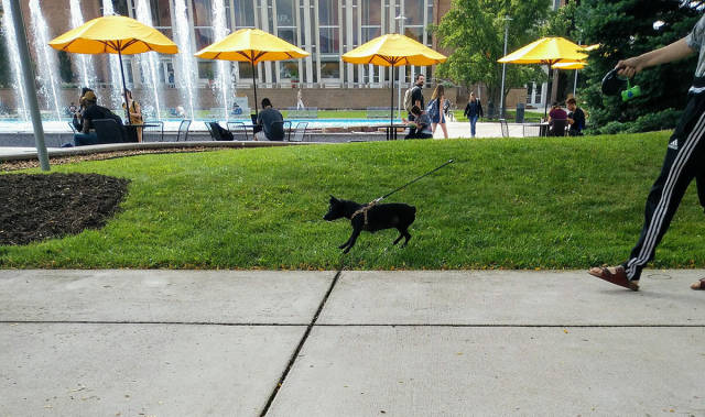 morning picdump 54 pics 11.html - 54 HD Photos | Premium Gallery 2017