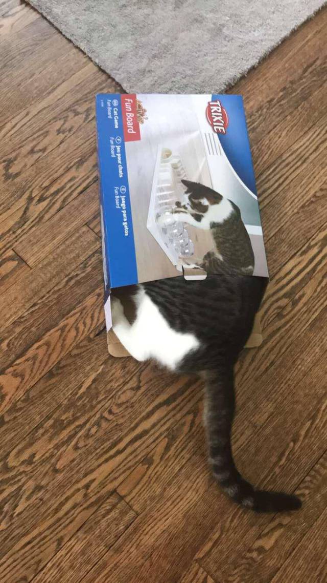 morning picdump 54 pics 11.html - 54 HD Photos | Premium Gallery 2017