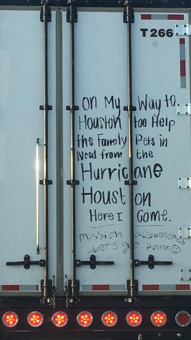 morning picdump 54 pics 11.html - 54 HD Photos | Premium Gallery 2017