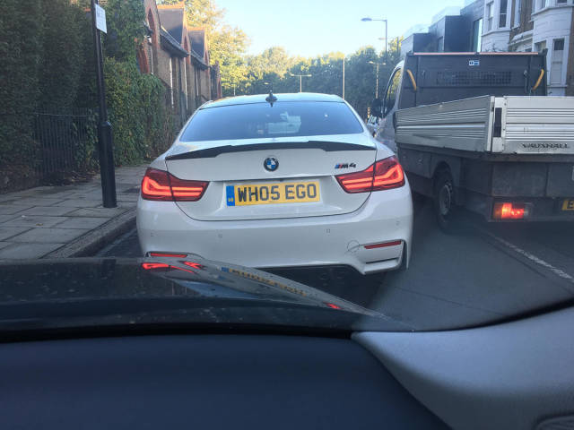 Daily Picdump [WEEKEND EDITION]