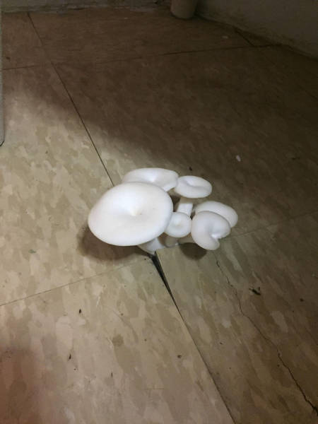 Daily Picdump [WEEKEND EDITION]