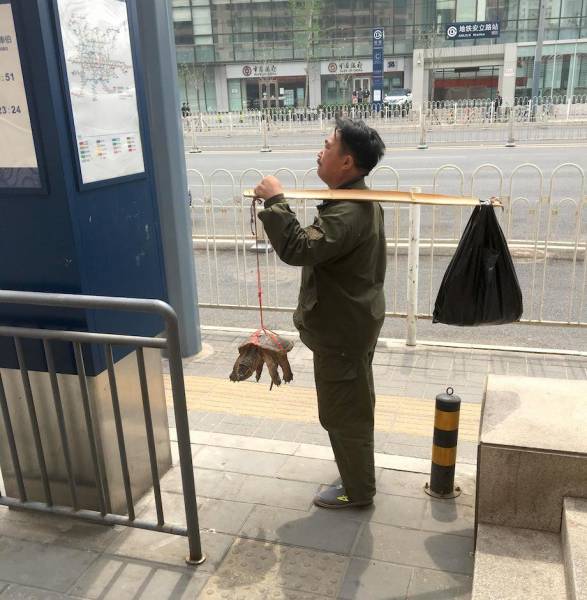 Daily Picdump [WEEKEND EDITION]