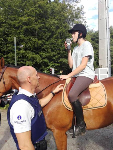 Daily Picdump [WEEKEND EDITION]