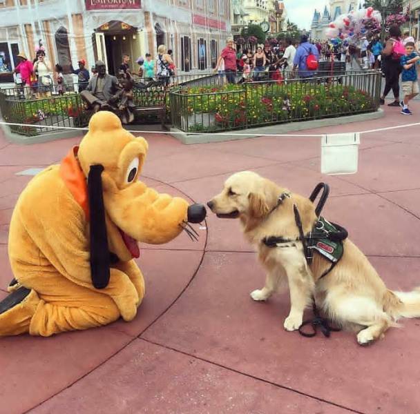 Daily Picdump [WEEKEND EDITION]