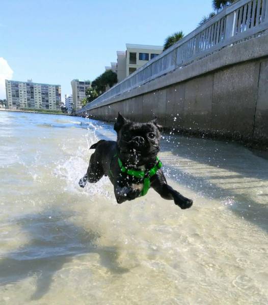 Daily Picdump [WEEKEND EDITION]