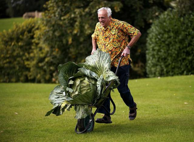 daily picdump 107 pics 1.html - 107 HD Photos | Premium Gallery 2017