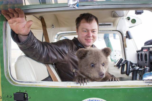 daily picdump 107 pics 1.html - 107 HD Photos | Premium Gallery 2017