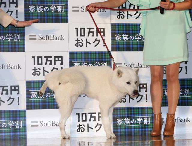 daily picdump 107 pics 1.html - 107 HD Photos | Premium Gallery 2017