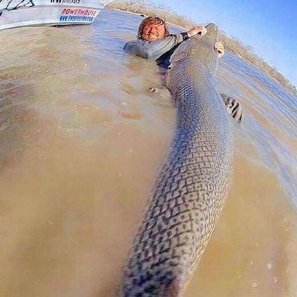 daily picdump 107 pics 1.html - 107 HD Photos | Premium Gallery 2017