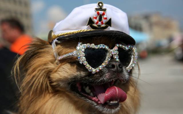 daily picdump 107 pics 1.html - 107 HD Photos | Premium Gallery 2017