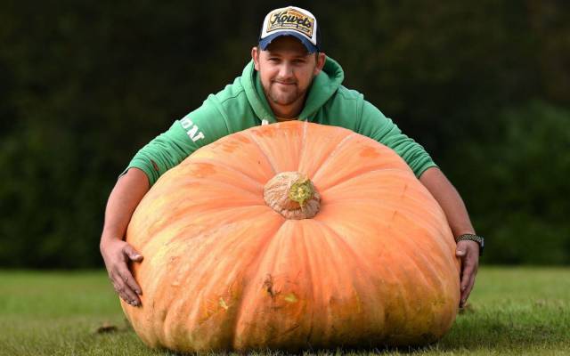 daily picdump 107 pics 1.html - 107 HD Photos | Premium Gallery 2017