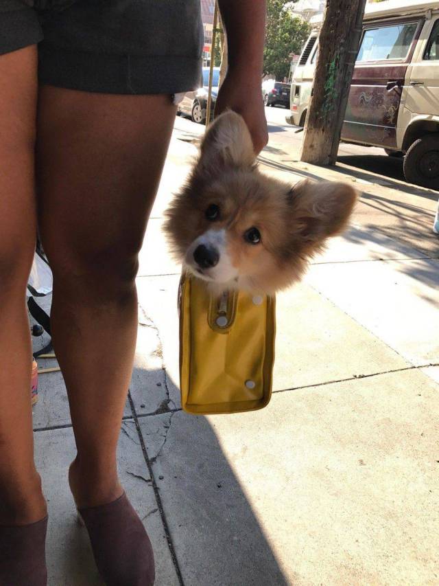 daily picdump 107 pics 1.html - 107 HD Photos | Premium Gallery 2017