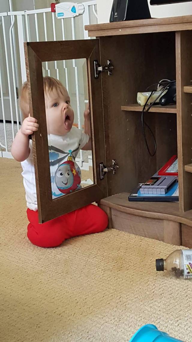 daily picdump 107 pics 1.html - 107 HD Photos | Premium Gallery 2017