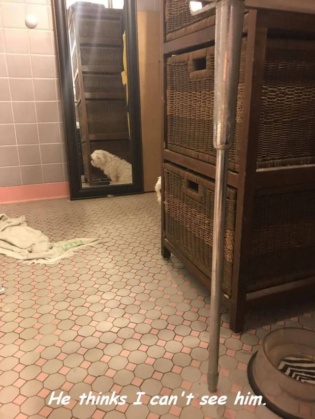 daily picdump 107 pics 1.html - 107 HD Photos | Premium Gallery 2017