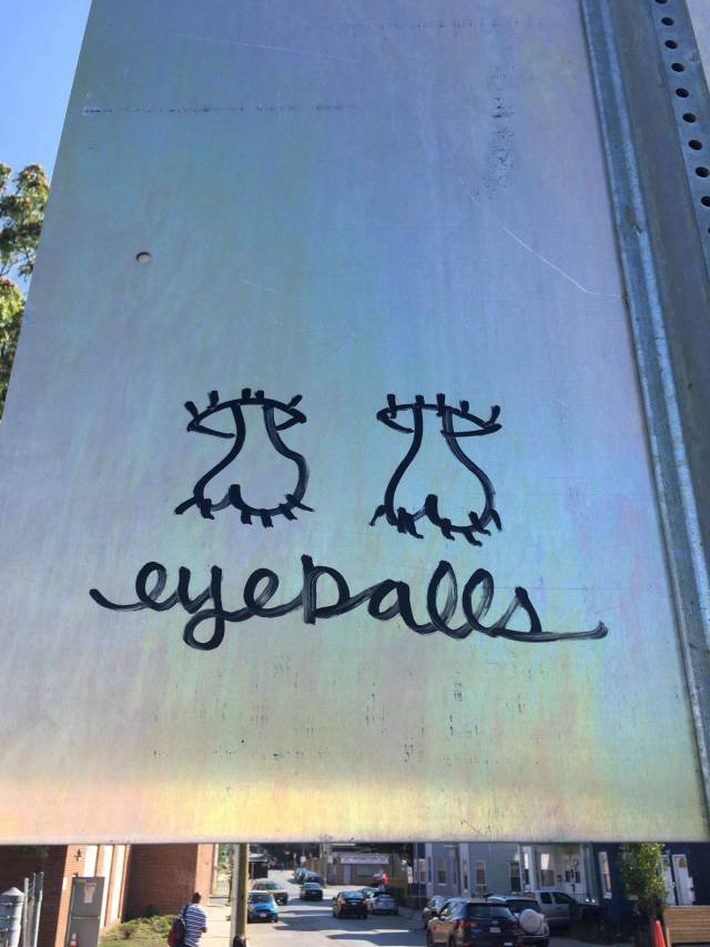 daily picdump 107 pics 1.html - 107 HD Photos | Premium Gallery 2017