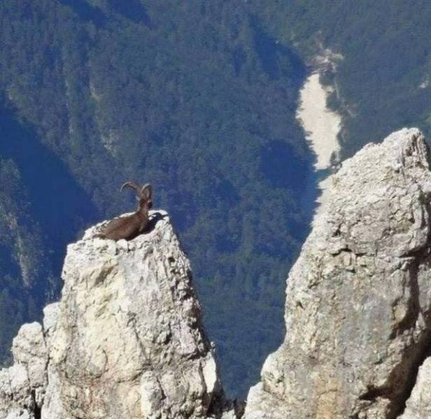 daily picdump 98 pics 4.html - 98 HD Photos | Premium Gallery 2017