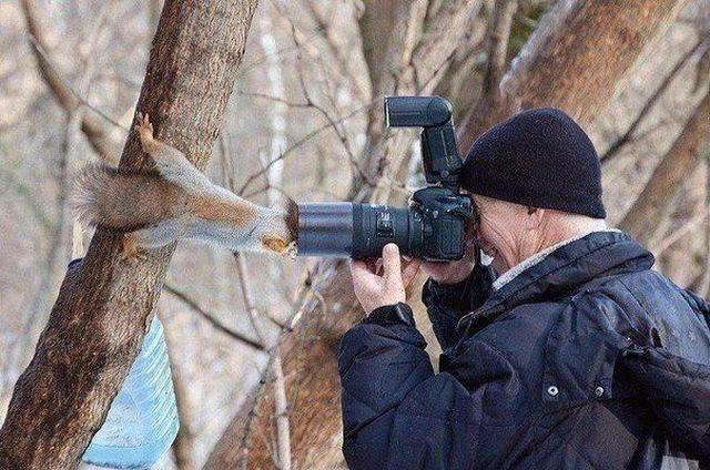 daily picdump 98 pics 4.html - 98 HD Photos | Premium Gallery 2017