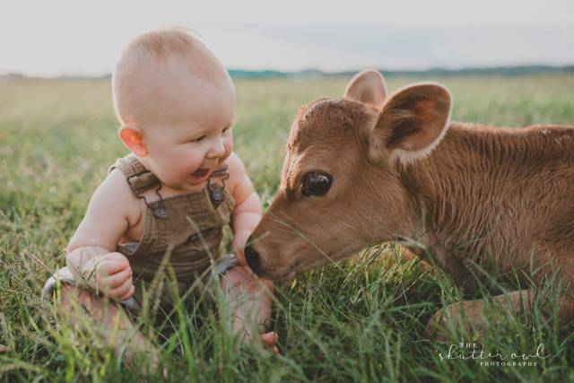 daily picdump 98 pics 4.html - 98 HD Photos | Premium Gallery 2017