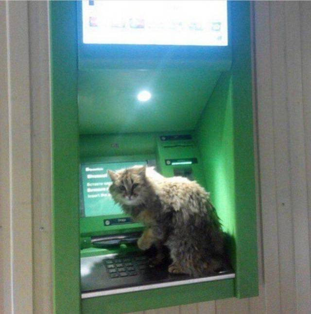 daily picdump 98 pics 4.html - 98 HD Photos | Premium Gallery 2017