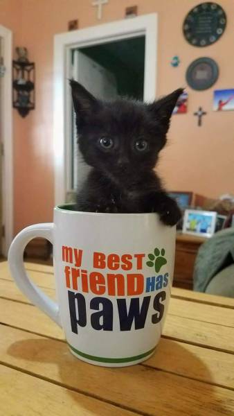 morning picdump 54 pics 3.html - 54 HD Photos | Premium Gallery 2017