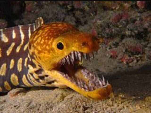 morning picdump 54 pics 3.html - 54 HD Photos | Premium Gallery 2017