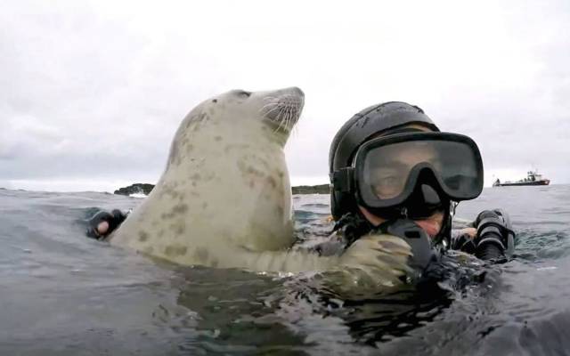 daily picdump 97 pics 34.html - 97 HD Photos | Premium Gallery 2017