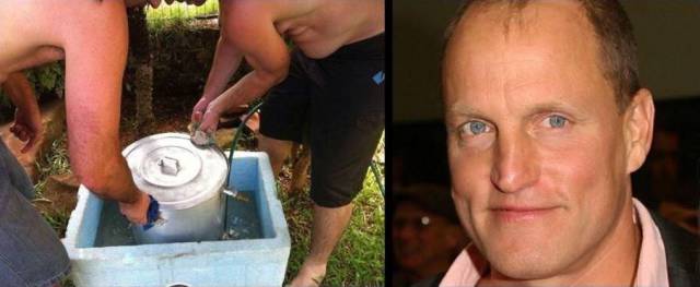 daily picdump 97 pics 34.html - 97 HD Photos | Premium Gallery 2017