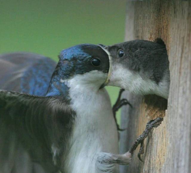 daily picdump 97 pics 34.html - 97 HD Photos | Premium Gallery 2017