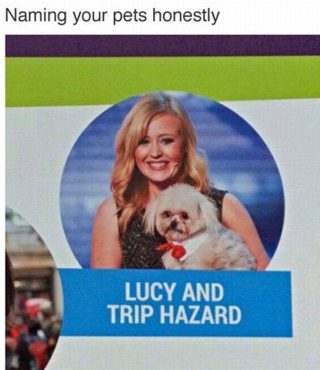 daily picdump 97 pics 34.html - 97 HD Photos | Premium Gallery 2017