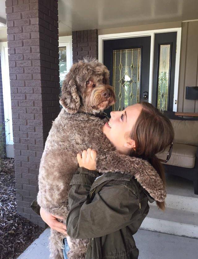 daily picdump 97 pics 34.html - 97 HD Photos | Premium Gallery 2017