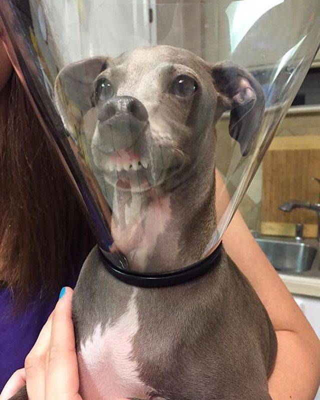 daily picdump 97 pics 34.html - 97 HD Photos | Premium Gallery 2017