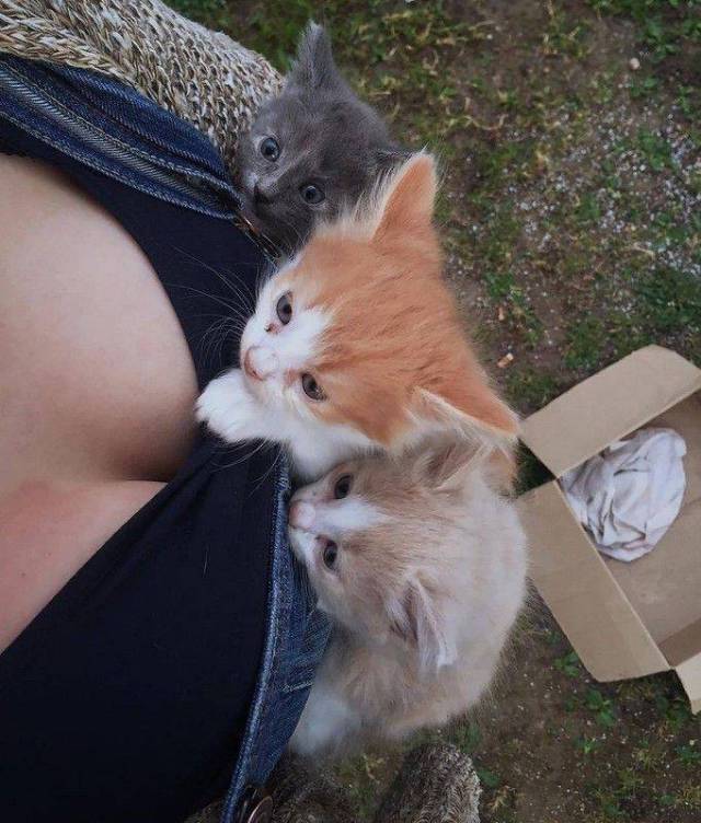 daily picdump 97 pics 34.html - 97 HD Photos | Premium Gallery 2017