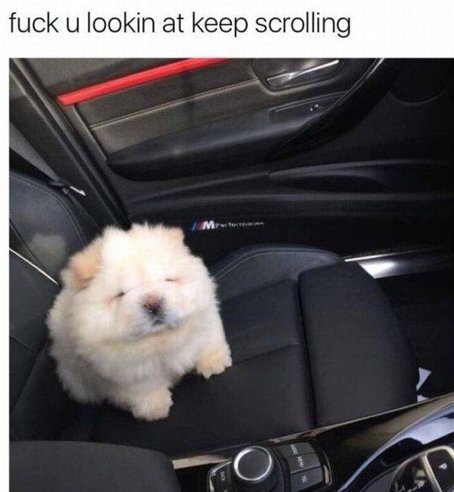 Dirty Humor Wants You Bad!