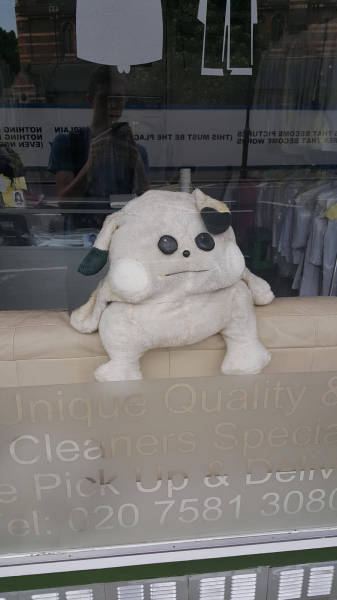 morning picdump 53 pics 17.html - 53 HD Photos | Premium Gallery 2017