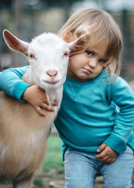 morning picdump 53 pics 17.html - 53 HD Photos | Premium Gallery 2017