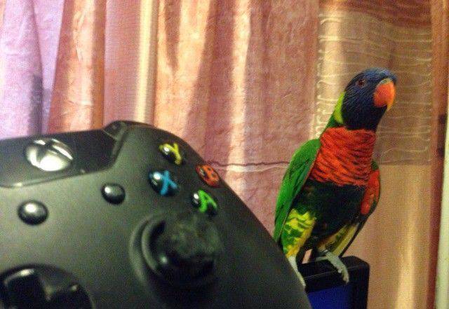 daily picdump 99 pics 9.html - 99 HD Photos | Premium Gallery 2017