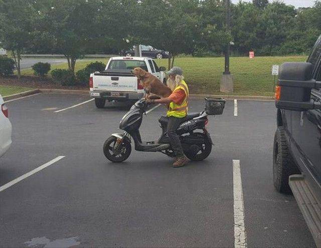 daily picdump 99 pics 9.html - 99 HD Photos | Premium Gallery 2017