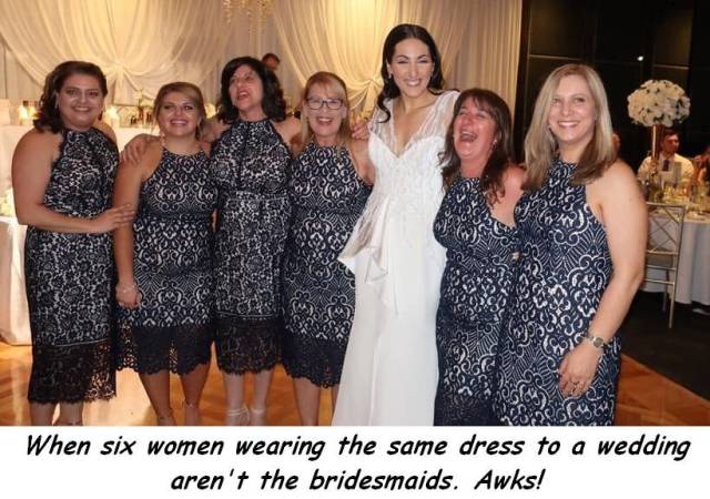 daily picdump 99 pics 9.html - 99 HD Photos | Premium Gallery 2017