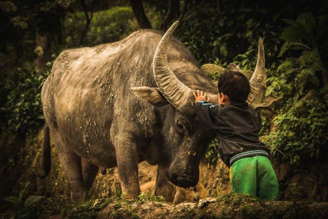 daily picdump 99 pics 9.html - 99 HD Photos | Premium Gallery 2017