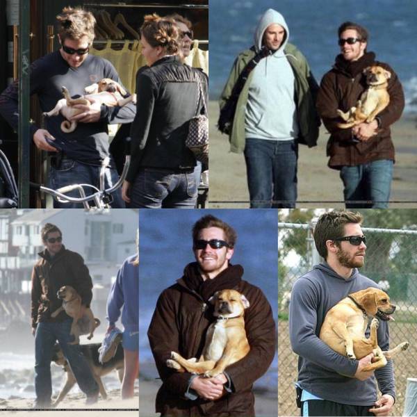 daily picdump 99 pics 9.html - 99 HD Photos | Premium Gallery 2017