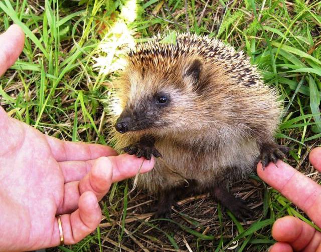 daily picdump 99 pics 9.html - 99 HD Photos | Premium Gallery 2017