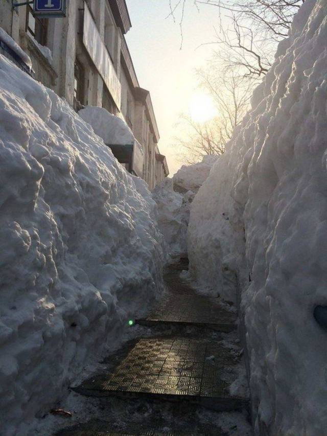 daily picdump 99 pics 9.html - 99 HD Photos | Premium Gallery 2017