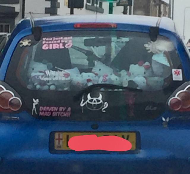 morning picdump 51 pics 17.html - 51 HD Photos | Premium Gallery 2017